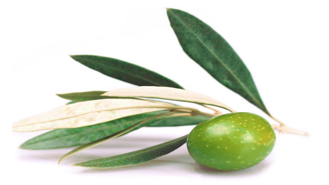 Olive leaf extract